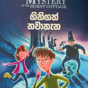 The Mystery of The Invisible Thief  | ගිනිගත් නවාතැන